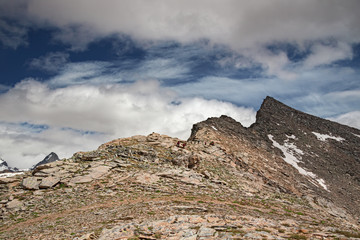 Wall Mural - some mountaineers climb the ridge of punta violetta, in the gran paradiso park, in italy.