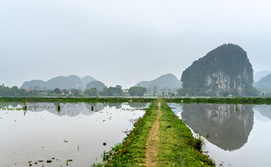 Wall Mural - Trang An Scenic Landscape Complex in Vietnam