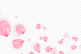 Fototapeta Sypialnia - Pink sakura falling petals vector background. 3D romantic illustration. Transporent banner with sakura. Love card