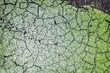 Old cracked rusty peeled colorful paint background texture close-up