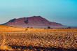 Oryxantilope vor Berg am Abend (Namibia)