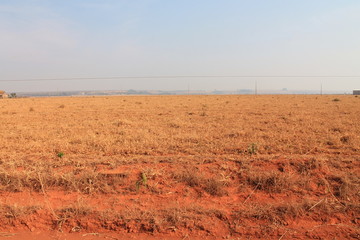 field horizon  landscape 