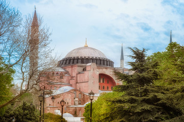 Wall Mural - Hagia Sophia, Istanbul. Cityscape with trees in the foreground.