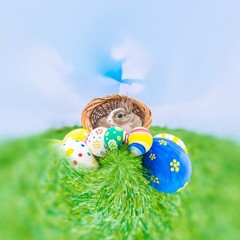 Wall Mural - easter bunny with eggs in grass