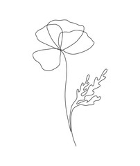 Wall Mural - minimal lovely illustration of a poppy flower drawn with a continuous line.