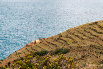 Wall Mural - Moon Island slope