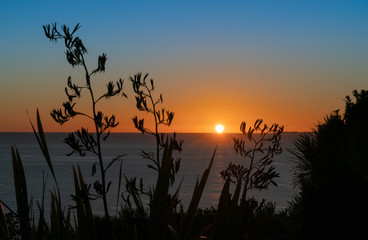 Wall Mural - Landscape silhouette at sunrise