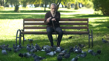 Elderly Man Relaxing Looking At Flock Of Pigeons In Park, Happy Retirement