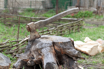 Wall Mural - Tree stump with old axe