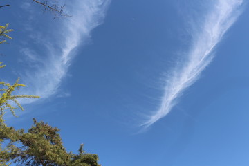 two cloud, wood, sky, moon