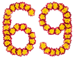 Numeral 69, sixty nine, from natural flowers of primula, isolated on white background