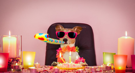 Canvas Print - happy birthday dog