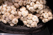 Garlic bunch in basket for sale