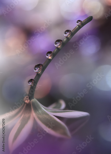 Beautiful Nature Background And Flowersabstract Macro