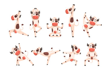 Canvas Print - White spotted cow set, farm animal character doing sport exercise vector Illustrations on a white background