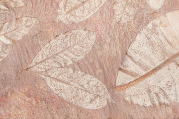 Wall Mural - Tree leaf of tropical plant in printed on concrete surface for background