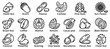 Nut icons set. Outline set of nut vector icons for web design isolated on white background