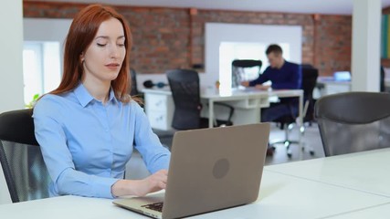 Poster - Business woman working on laptop at workplace. Stylish beautiful woman doing important job.
