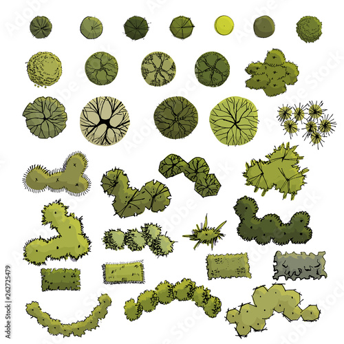 Fotografía Large set with symbols of trees and shrubs in plan view whithout shadow