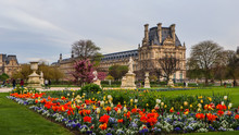 Marvelous Spring Tuileries Garden And View At The Louvre Palace Paris France. April 2019. 