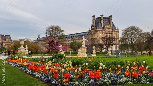Photographie Marvelous spring Tuileries garden and view at the Louvre Palace Paris France