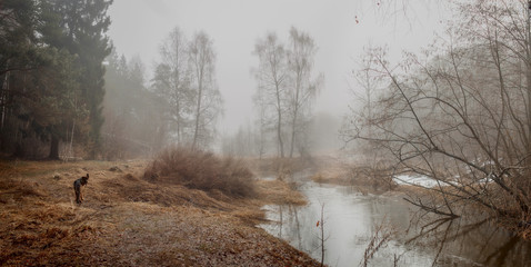 Wall Mural - Misty landscape with forest and river at morning