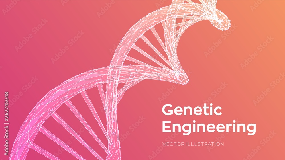 DNA sequence. Abstract 3d polygonal wireframe DNA molecules structure ...