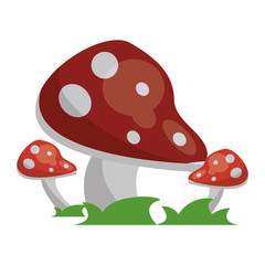 Wall Mural - Red mushrooms on grass cartoon isolated