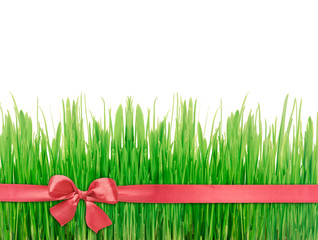 Green grass red silk ribbon