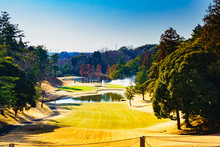 Landscape Of Japanese Golf Course In Chiba