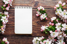 Sakura Blossoms On A Dark Rustic Wooden Background With A Notebook. Spring Background With Blossoming Apricot Branches And Cherry Branches