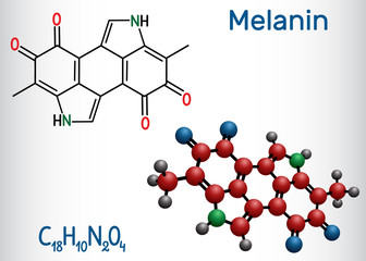 Poster - Melanin  molecule. Structural chemical formula and molecule model