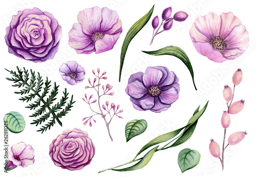 Set of Watercolor Flowers and Leaves