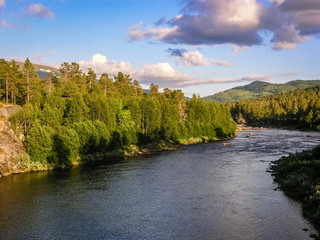 Wall Mural - Mountain river in a wooded area