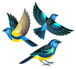 Wall Mural - Stylized Birds - Turquoise Tanager