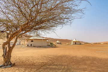 Wall Mural - Wahiba Sands in Oman. It is known as Sharqiya Sands or Ramlat al-Wahiba.