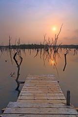  Sunrise over a calm lake or small jetty bridge, clouds and silhouette of dead trees in the reflection water