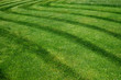 © Marina P. - Striped pattern on a freshly cut grass field