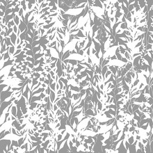 Light Background Of Climbing Plants, Twigs And Leaves. Climbing Plants. Black And White Vintage Texture For Fabric, Tile, Wallpaper.