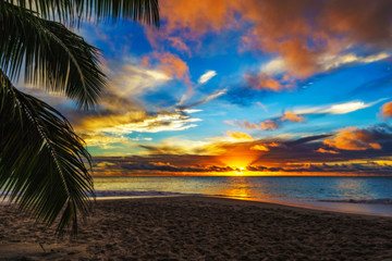 Wall Mural - looking through palm leaf at sunset at anse georgette,praslin,seychelles 8