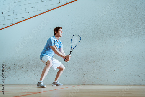 Plakaty squash  pelny-widok-skoncentrowanego-sportowca-w-niebieskiej-koszulce-polo-grajacego-w-squasha
