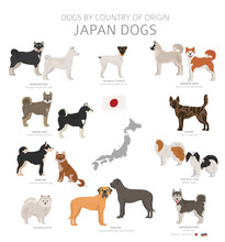 Dogs By Country Of Origin. Japanese Dog Breeds. Shepherds, Hunting, Herding, Toy, Working And Service Dogs  Set