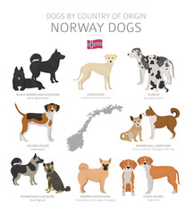 Wall Mural - Dogs by country of origin. Norway dog breeds. Shepherds, hunting, herding, toy, working and service dogs  set