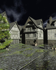 Fototapete - Illustration of a European Mediaeval Street on a Bright Moonlit Night, 3d rendered illustration