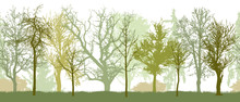 Seamless Pattern Of Spring Park (or Garden, Or Forest) Silhouette. Bare Trees Silhouette. Vector Illustration.