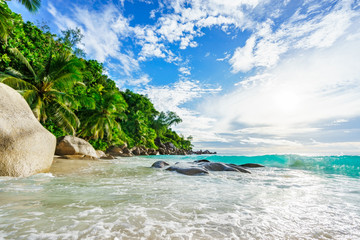  Paradise tropical beach with rocks,palm trees and turquoise water in sunshine, seychelles 37