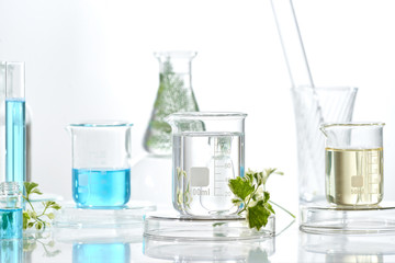 Wall Mural - herbal medicine natural organic and scientific glassware, research and development concept.