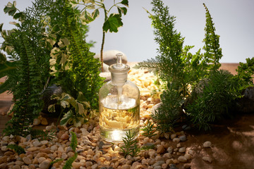 Wall Mural - natural organic botany and scientific glassware, alternative herb medicine, natural skin care beauty