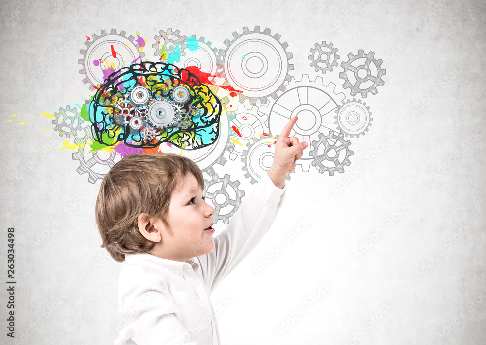 Little boy showing brain sketch, thinking Stock Photo | Adobe Stock