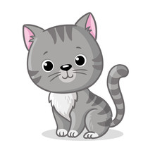 Gray Kitten Sitting On A White Background. Cute Pet In Cartoon Style.